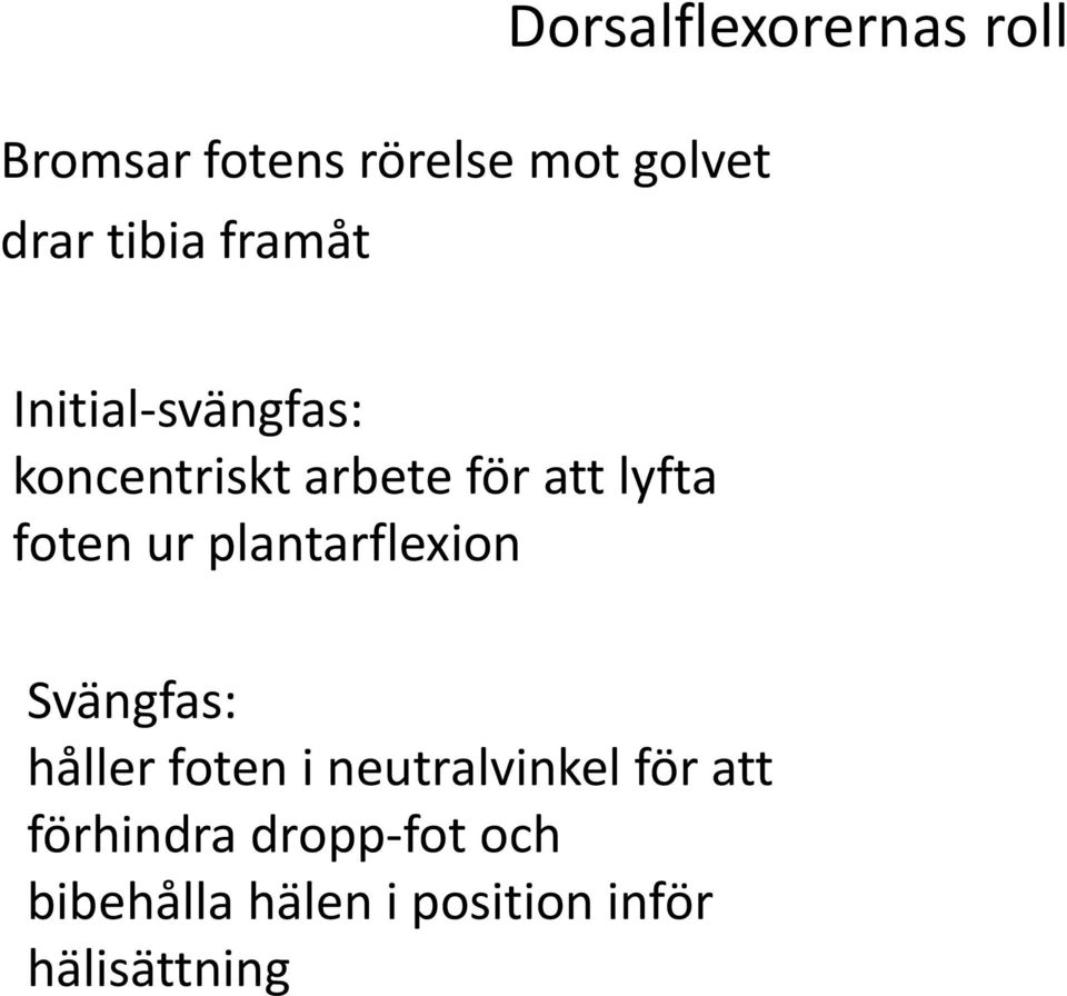 att lyfta foten ur plantarflexion Svängfas: håller foten i