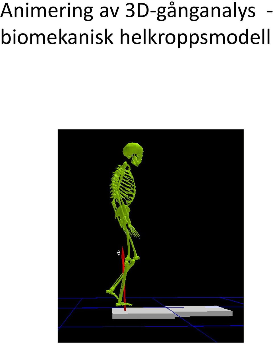 - biomekanisk