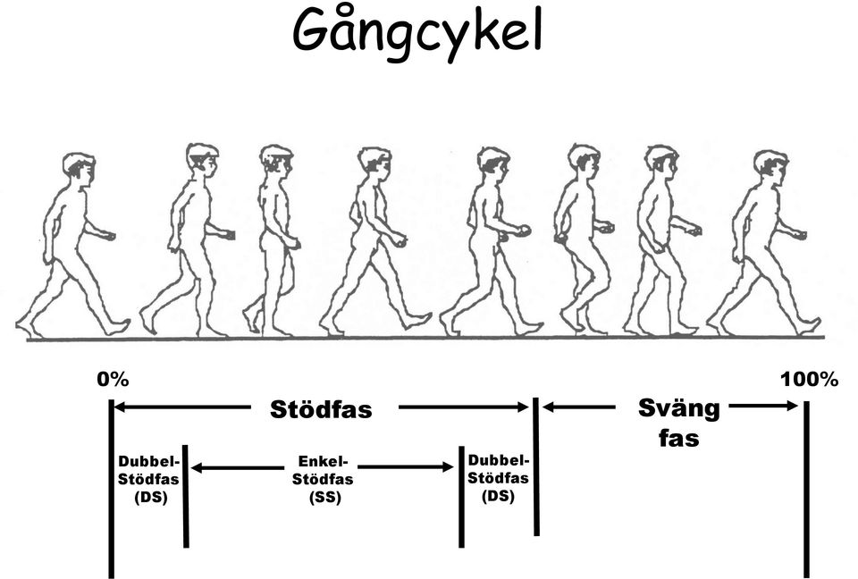 Stödfas Enkel- Stödfas