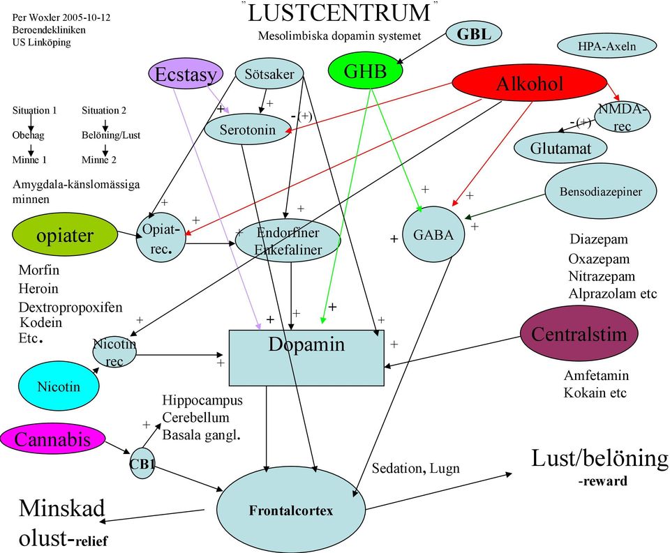 Morfin Heroin Dextropropoxifen Kodein Etc. Nicotin rec Nicotin Cannabis Minskad CB1 Hippocampus Cerebellum Basala gangl.