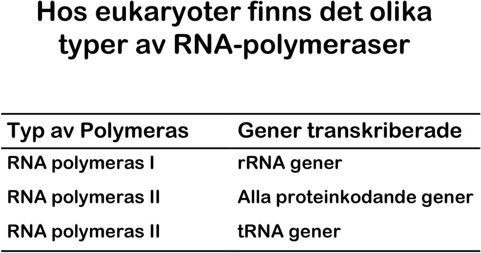 I RNA polymeras II RNA polymeras II Gener