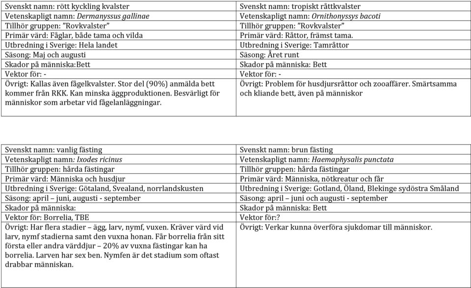 Svenskt namn: tropiskt råttkvalster Vetenskapligt namn: Ornithonyssys bacoti Tillhör gruppen: Rovkvalster Primär värd: Råttor, främst tama.