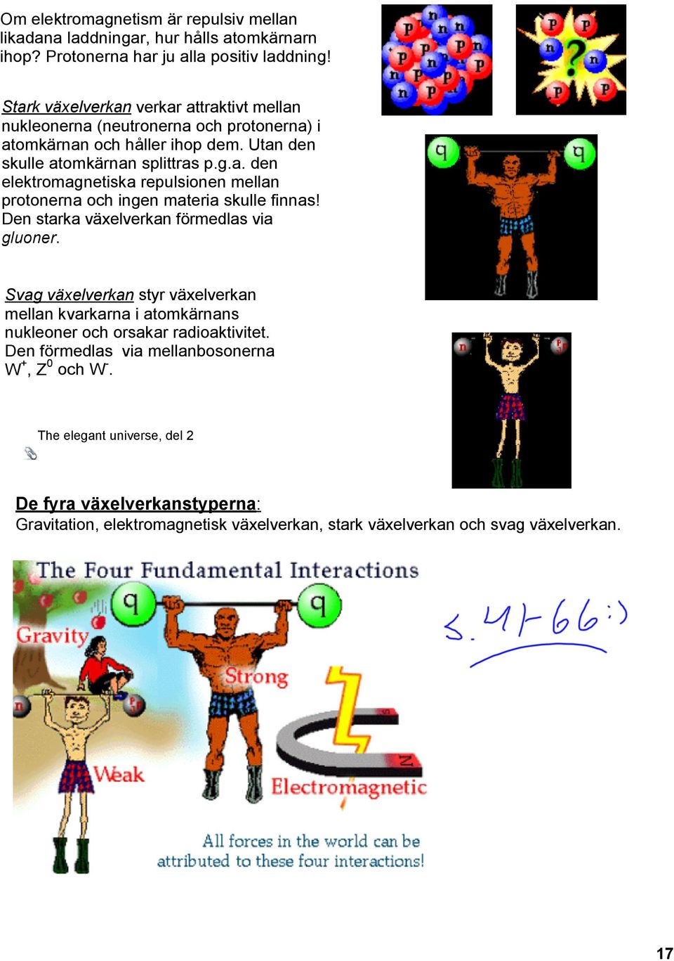 Den starka växelverkan förmedlas via gluoner. Svag växelverkan styr växelverkan mellan kvarkarna i atomkärnans nukleoner och orsakar radioaktivitet.