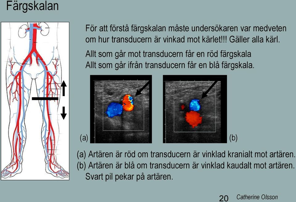 Allt som går mot transducern får en röd färgskala Allt som går ifrån transducern får en blå