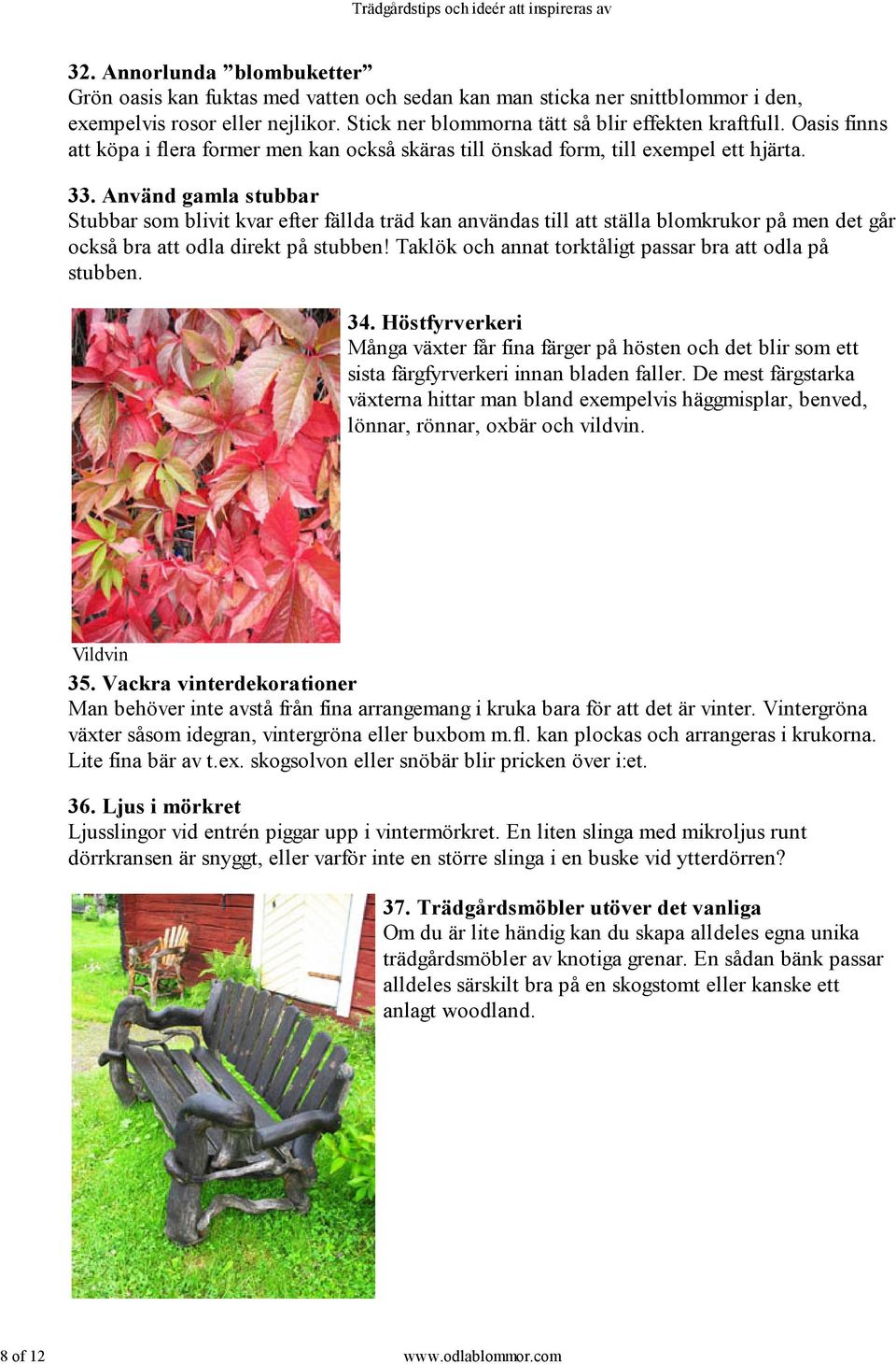 Använd gamla stubbar Stubbar som blivit kvar efter fällda träd kan användas till att ställa blomkrukor på men det går också bra att odla direkt på stubben!