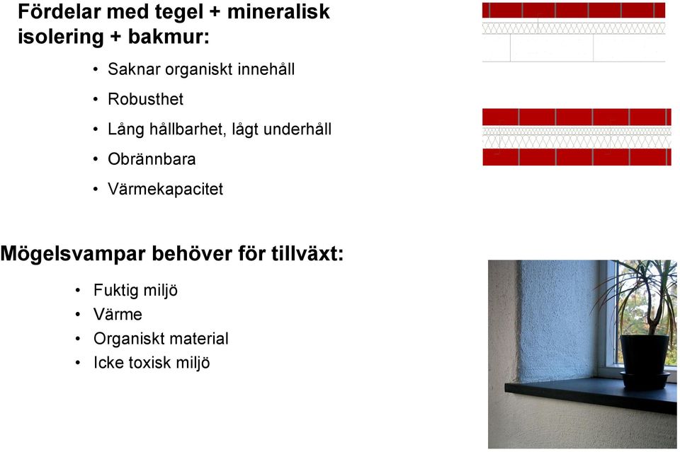 underhåll Obrännbara Värmekapacitet Mögelsvampar behöver