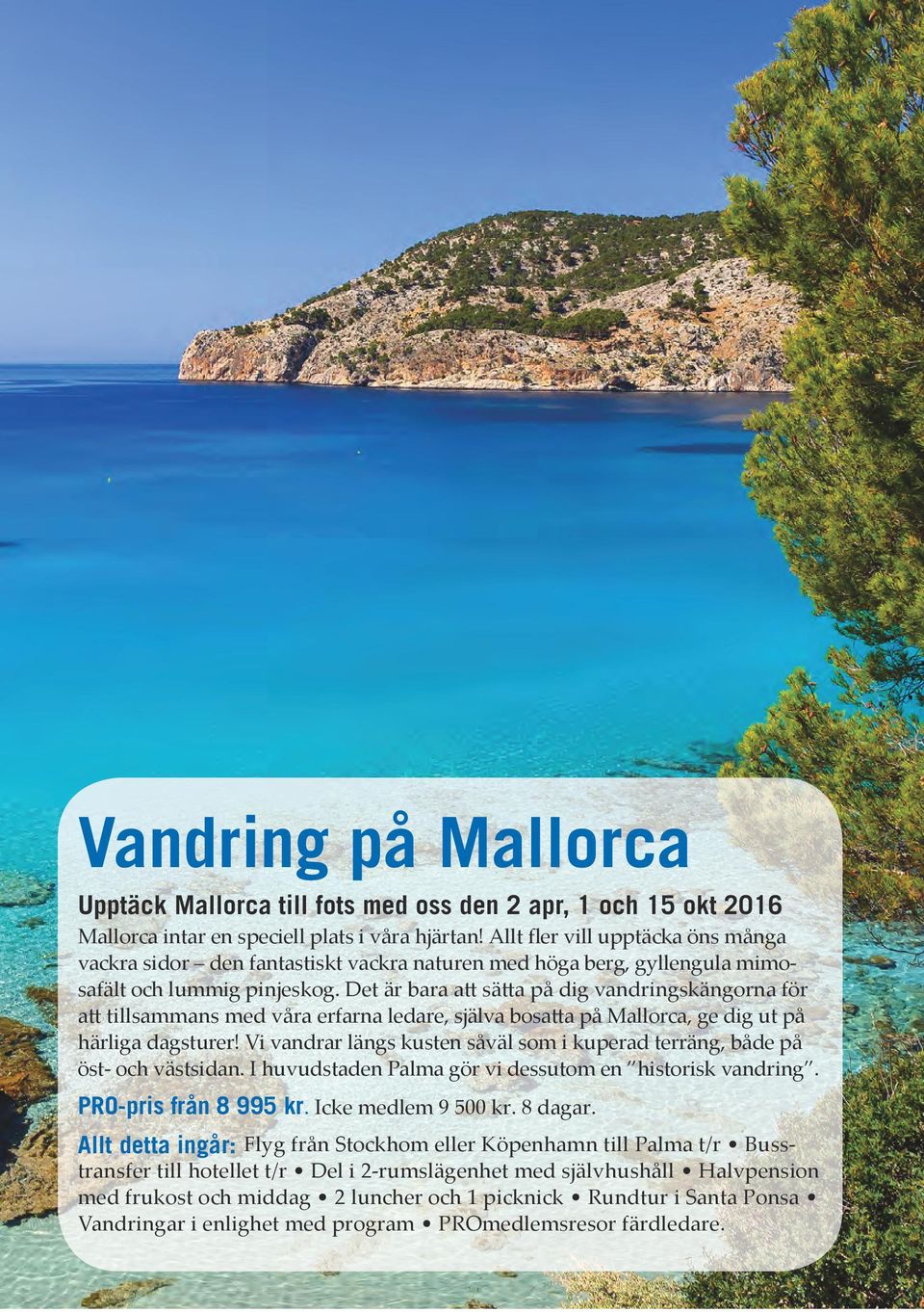 Det är bara att sätta på dig vandringskängorna för att tillsammans med våra erfarna ledare, själva bosatta på Mallorca, ge dig ut på härliga dagsturer!