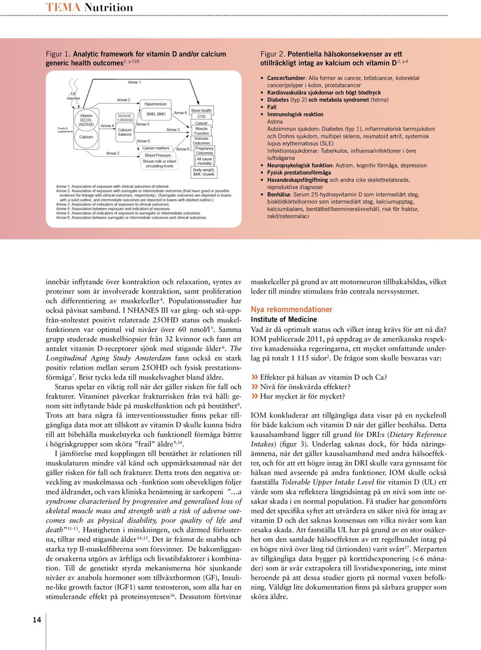 Kardiovaskulära sjukdomar och högt blodtryck Diabetes (typ 2) och metabola syndromet (fetma) Fall Immunologisk reaktion Astma Autoimmun sjukdom: Diabetes (typ 1), inflammatorisk tarmsjukdom och