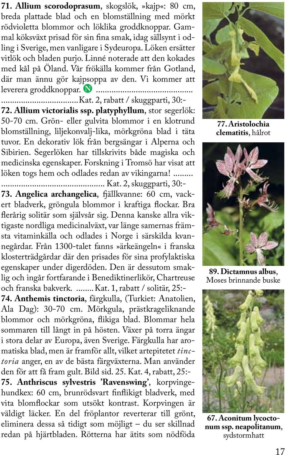 Vår frökälla kommer från Gotland, där man ännu gör kajpsoppa av den. Vi kommer att leverera groddknoppar. N......Kat. 2, rabatt / skuggparti, 30:- 72. Allium victorialis ssp.