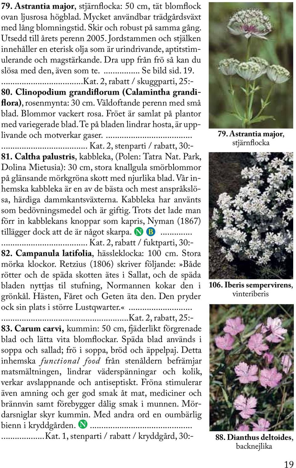 2, rabatt / skuggparti, 25:- 80. Clinopodium grandiflorum (Calamintha grandiflora), rosenmynta: 30 cm. Väldoftande perenn med små blad. Blommor vackert rosa.