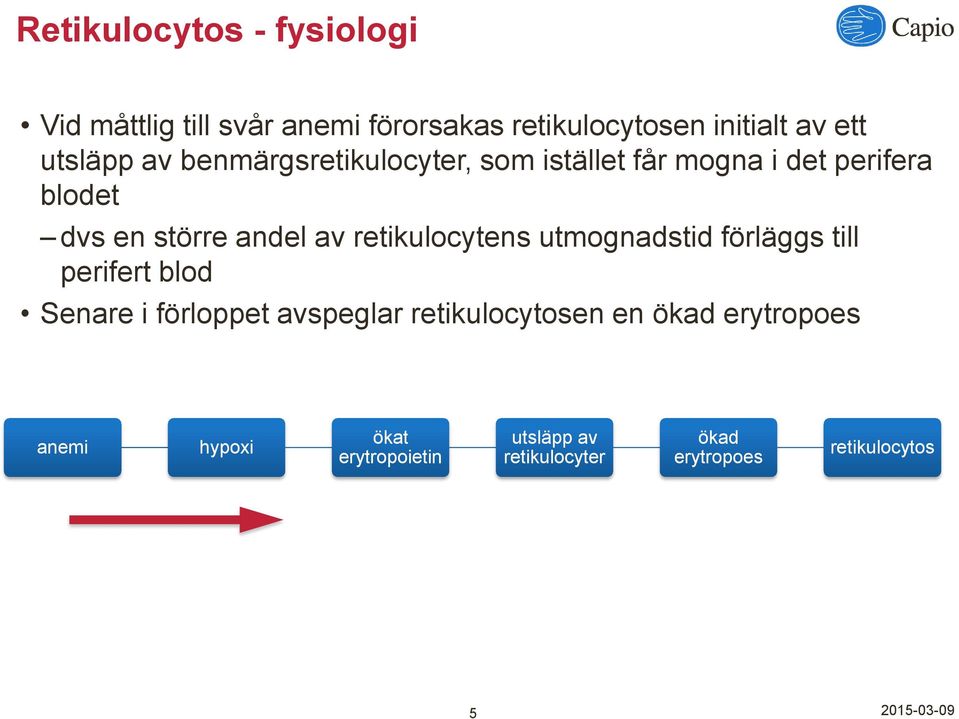 retikulocytens utmognadstid förläggs till perifert blod Senare i fo rloppet avspeglar retikulocytosen en o