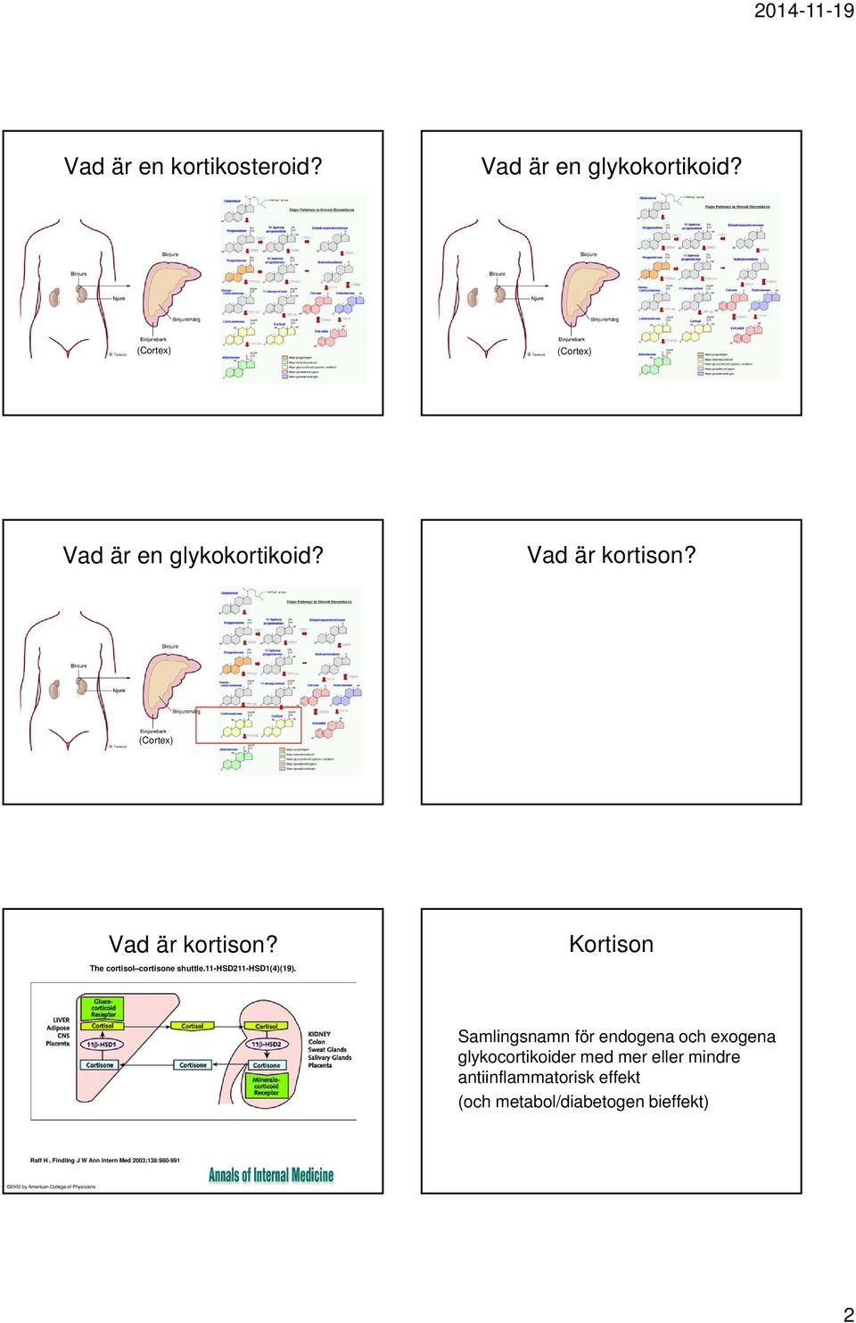 Kortison Samlingsnamn för endogena och exogena glykocortikoider med mer eller mindre