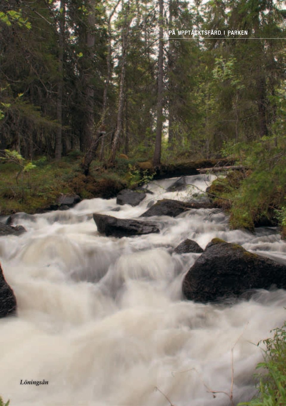 Löningsån SCA