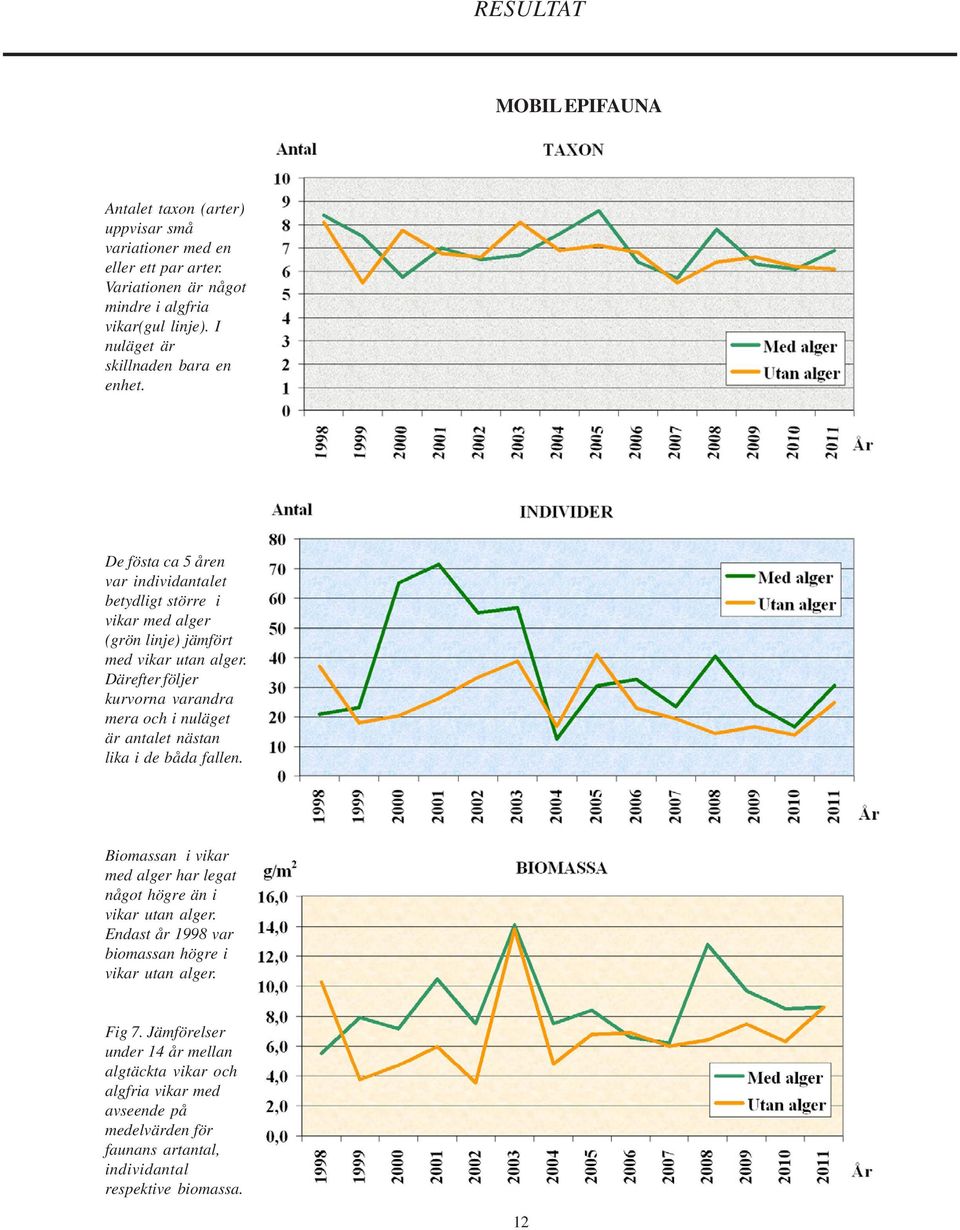 Därefter följer kurvorna varandra mera och i nuläget är antalet nästan lika i de båda fallen. Biomassan i vikar med alger har legat något högre än i vikar utan alger.