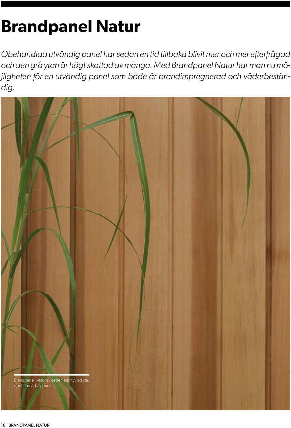 Med Brandpanel Natur har man nu möjligheten för en utvändig panel som både är