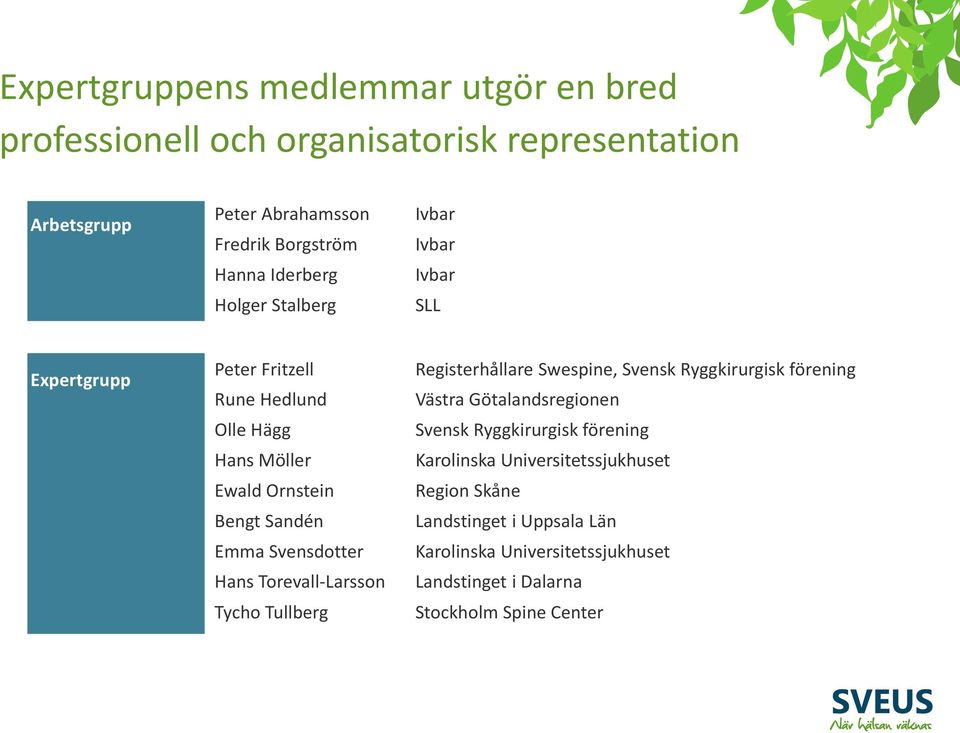 Svensdotter Hans Torevall-Larsson Tycho Tullberg Registerhållare Swespine, Svensk Ryggkirurgisk förening Västra Götalandsregionen Svensk