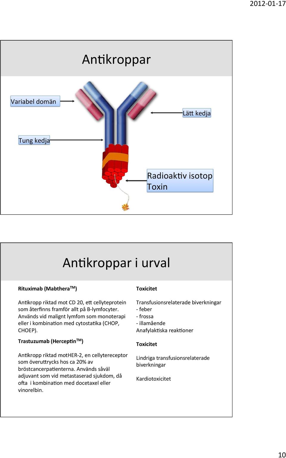 Trastuzumab (Hercep-n TM ) An:kropp riktad mother- 2, en cellytereceptor som överuvrycks hos ca 20% av bröstcancerpa:enterna.