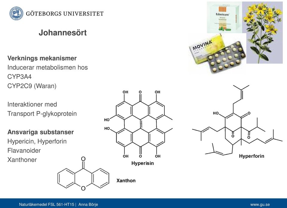 Interaktioner med Transport P-glykoprotein