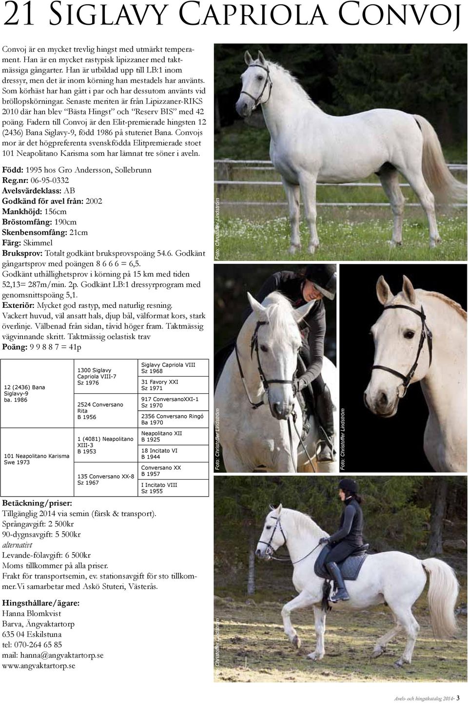 Senaste meriten är från Lipizzaner-RIKS 2010 där han blev Bästa Hingst och Reserv BIS med 42 poäng.