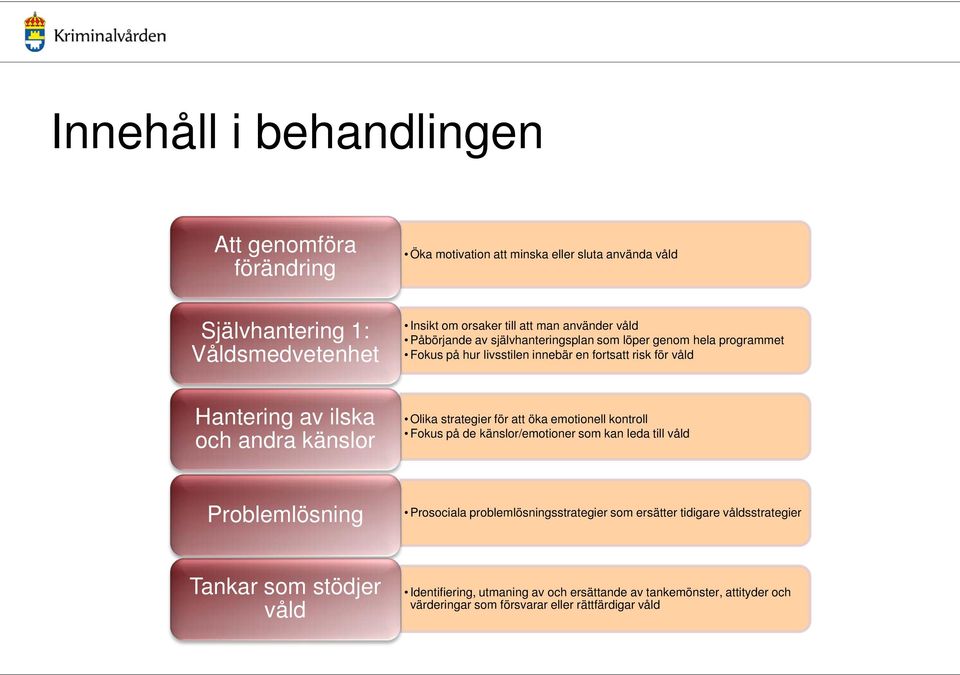 känslor Olika strategier för att öka emotionell kontroll Fokus på de känslor/emotioner som kan leda till våld Problemlösning Prosociala problemlösningsstrategier som
