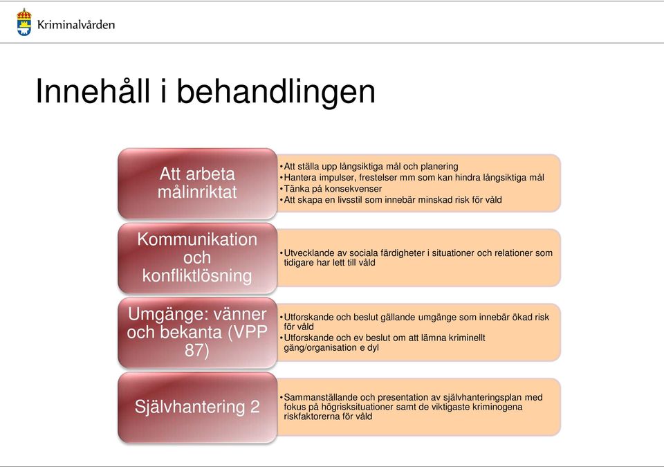 i situationer och relationer som tidigare har lett till våld Utforskande och beslut gällande umgänge som innebär ökad risk för våld Utforskande och ev beslut om att lämna