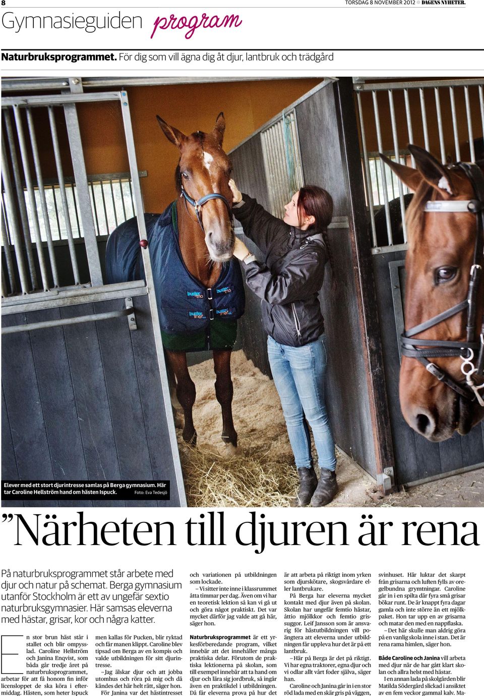 Berga gymnasium utanför Stockholm är ett av ungefär sextio naturbruks gymnasier. Här samsas eleverna med hästar, grisar, kor och några katter. En stor brun häst står i stallet och blir ompysslad.