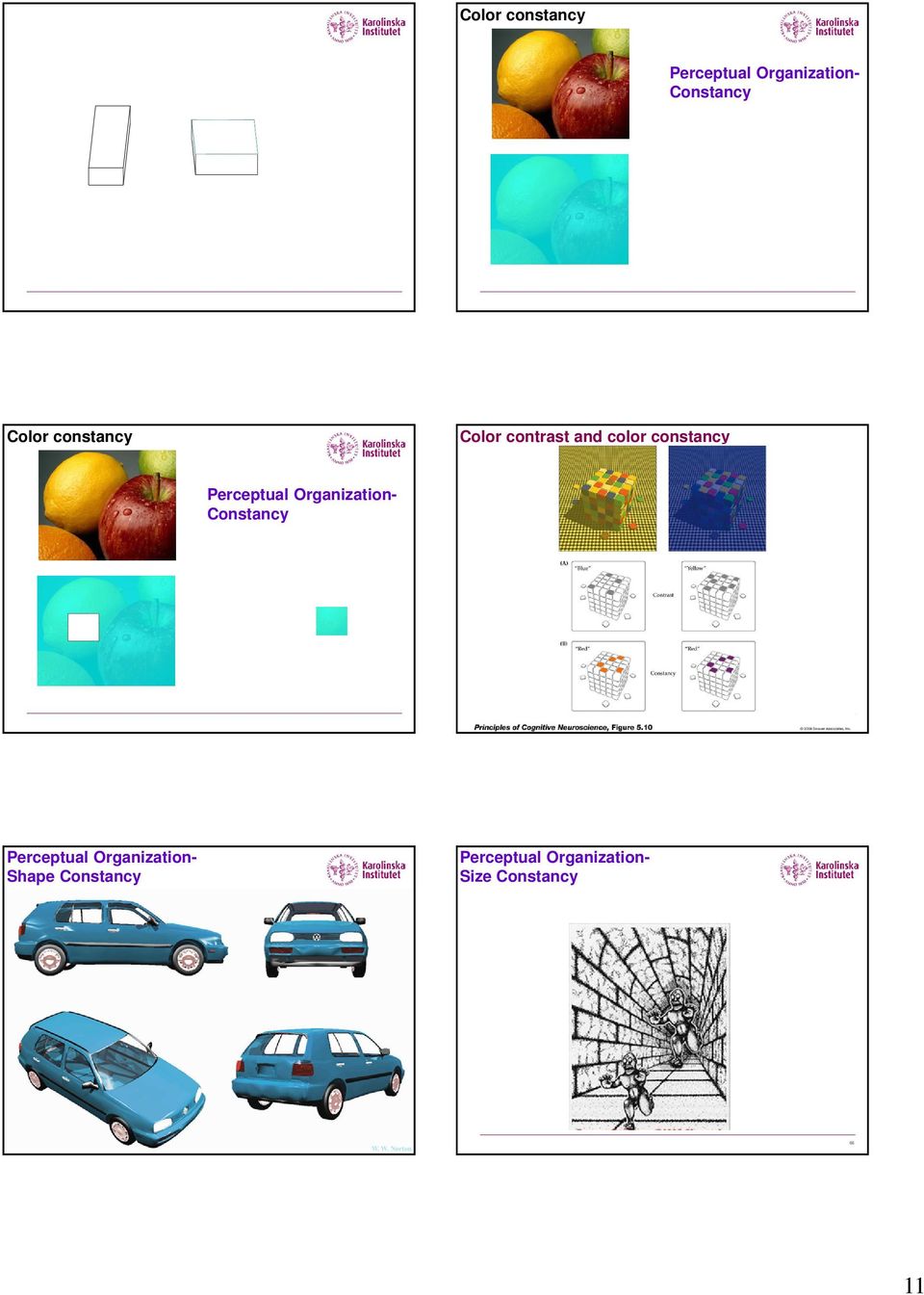 color constancy Constancy Shape