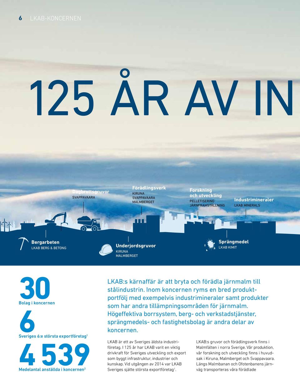 kärnaffär är att bryta och förädla järnmalm till stålindustrin.