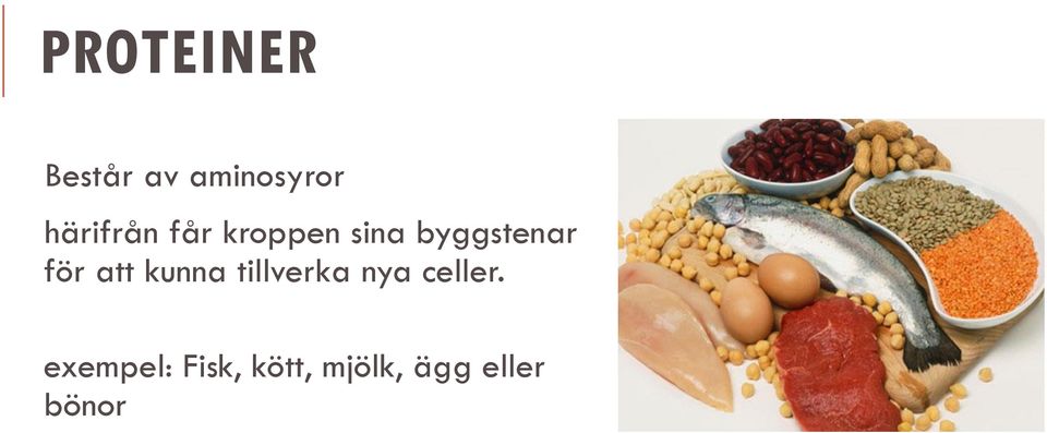 för att kunna tillverka nya celler.