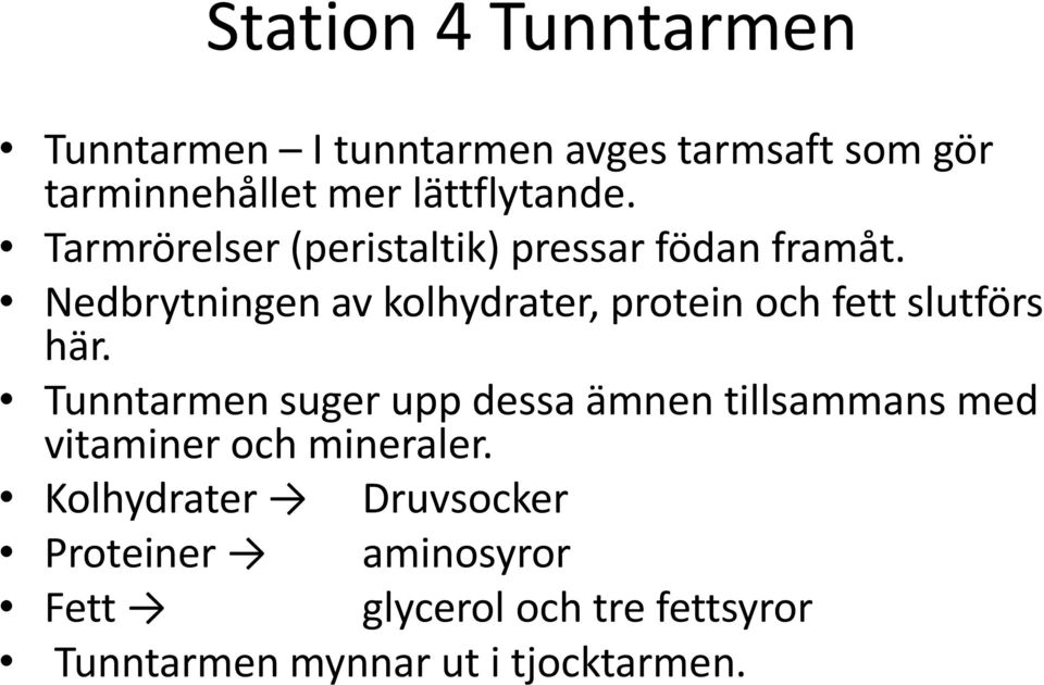 Nedbrytningen av kolhydrater, protein och fett slutförs här.