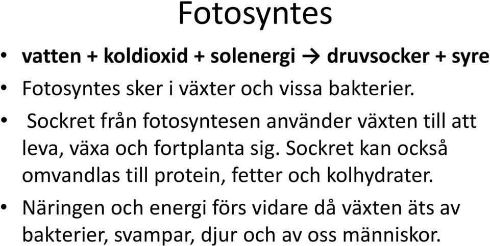 Sockret från fotosyntesen använder växten till att leva, växa och fortplanta sig.