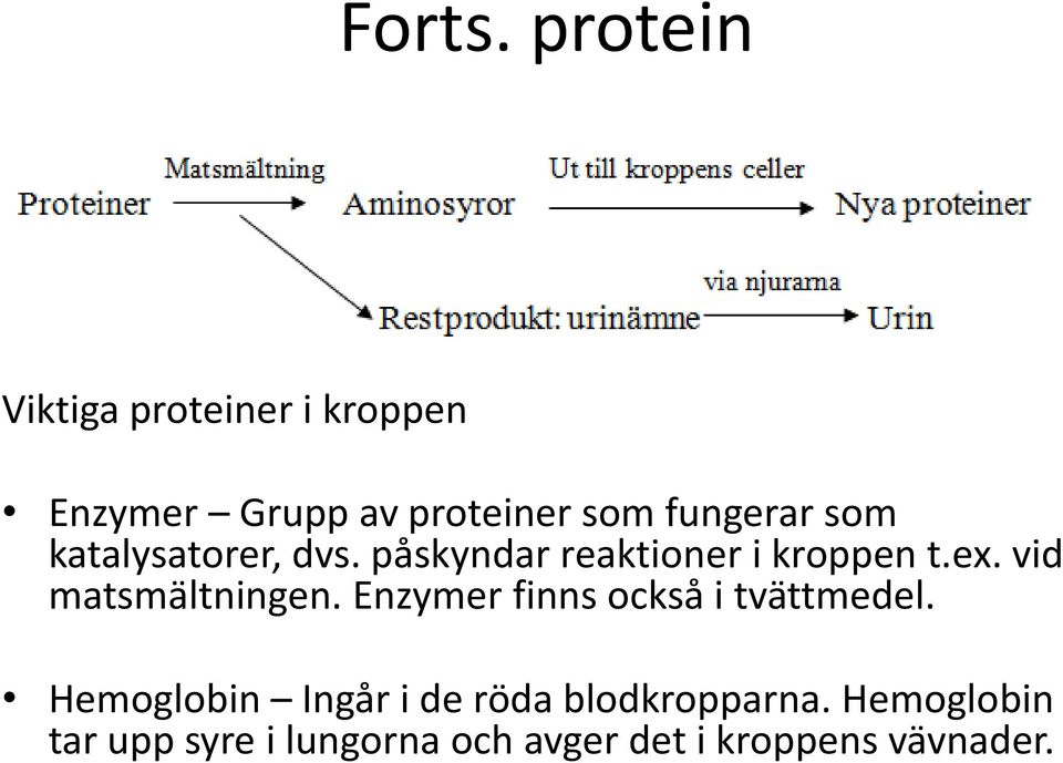 proteiner som fungerar som katalysatorer, dvs. påskyndar reaktioner i kroppen t.ex.