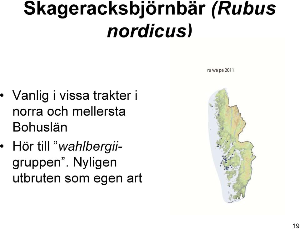 mellersta Bohuslän Hör till