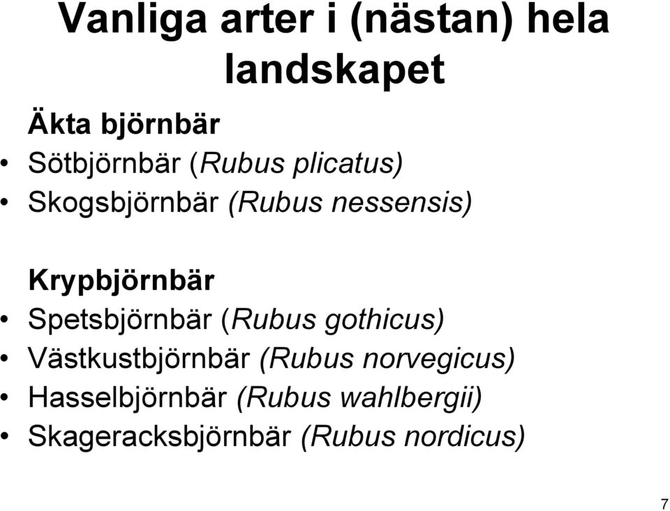 Spetsbjörnbär (Rubus gothicus) Västkustbjörnbär (Rubus norvegicus)