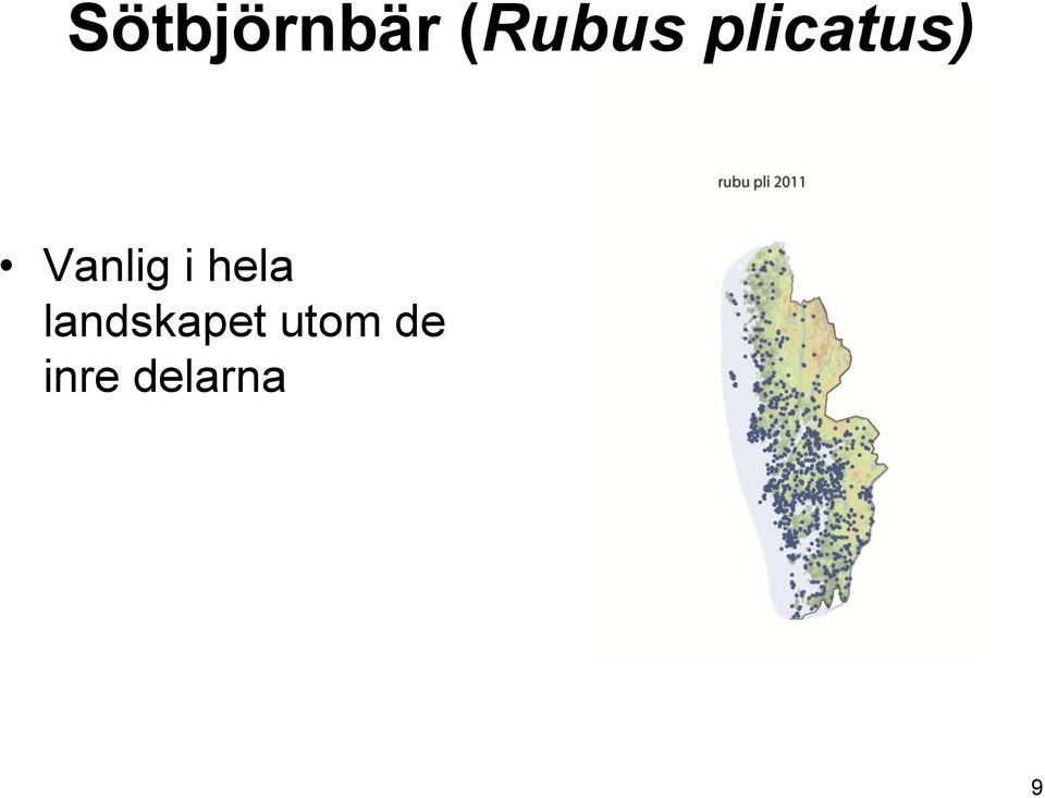 hela landskapet