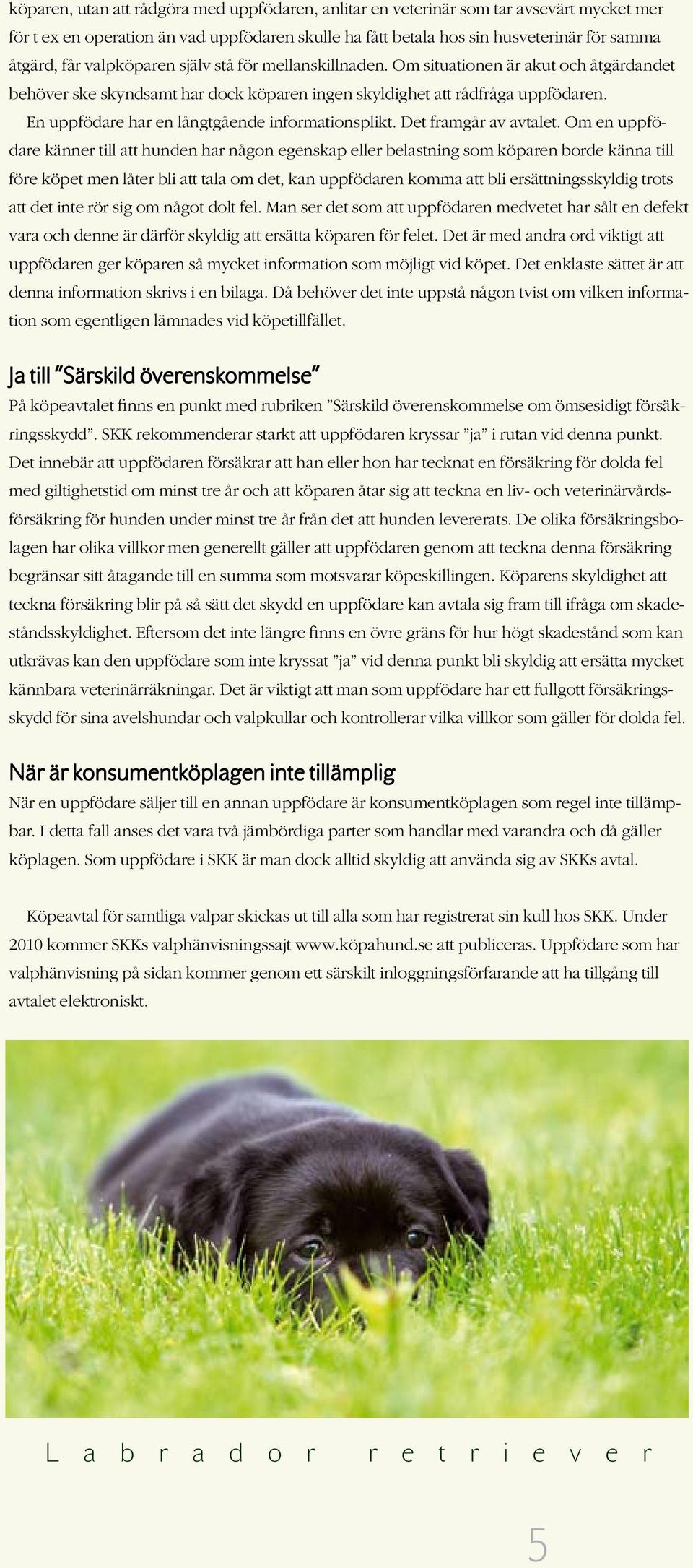 En uppfödare har en långtgående informationsplikt. Det framgår av avtalet.