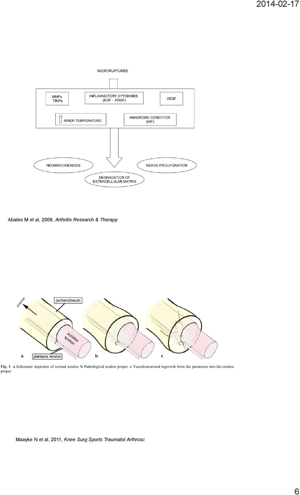 Therapy Maayke N et al,