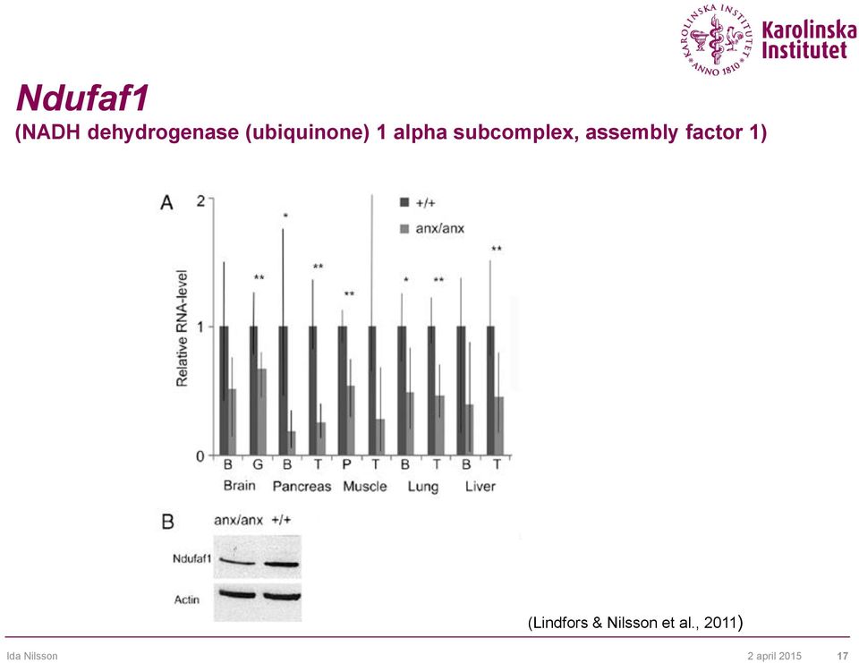 assembly factor 1) (Lindfors &