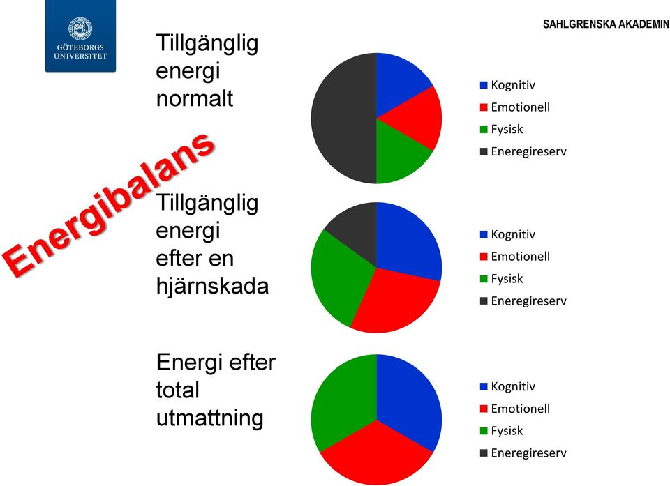 en hjärnskada Kognitiv Emotionell Fysisk Eneregireserv