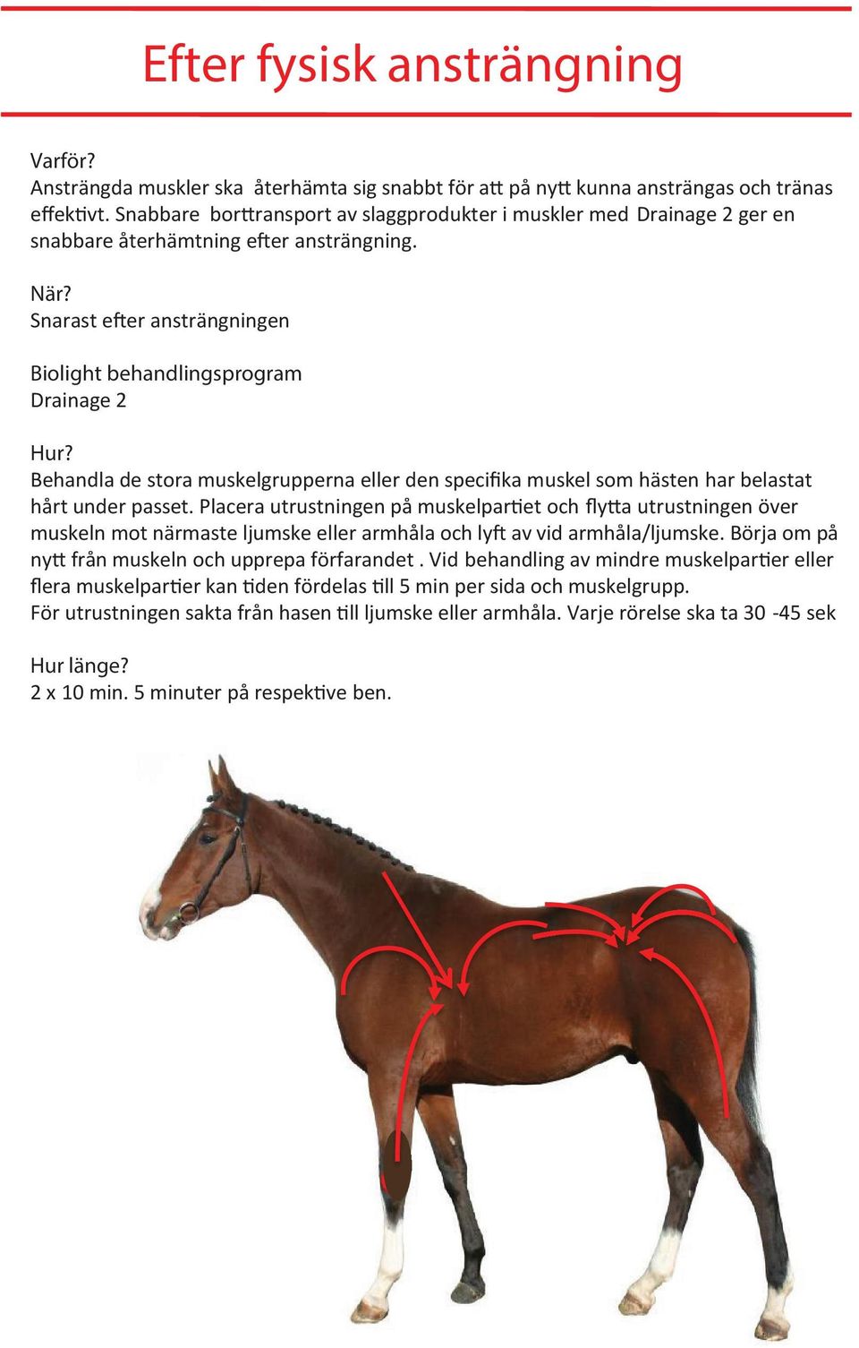 Behandla de stora muskelgrupperna eller den specifika muskel som hästen har belastat hårt under passet.