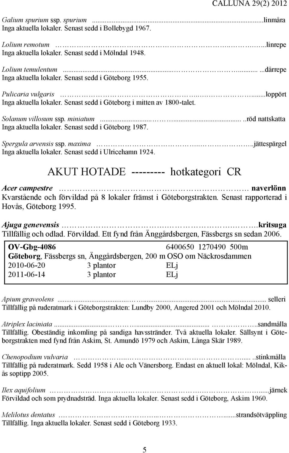 miniatum........röd nattskatta Inga aktuella lokaler. Senast sedd i Göteborg 1987. Spergula arvensis ssp. maxima....jättespärgel Inga aktuella lokaler. Senast sedd i Ulricehamn 1924.