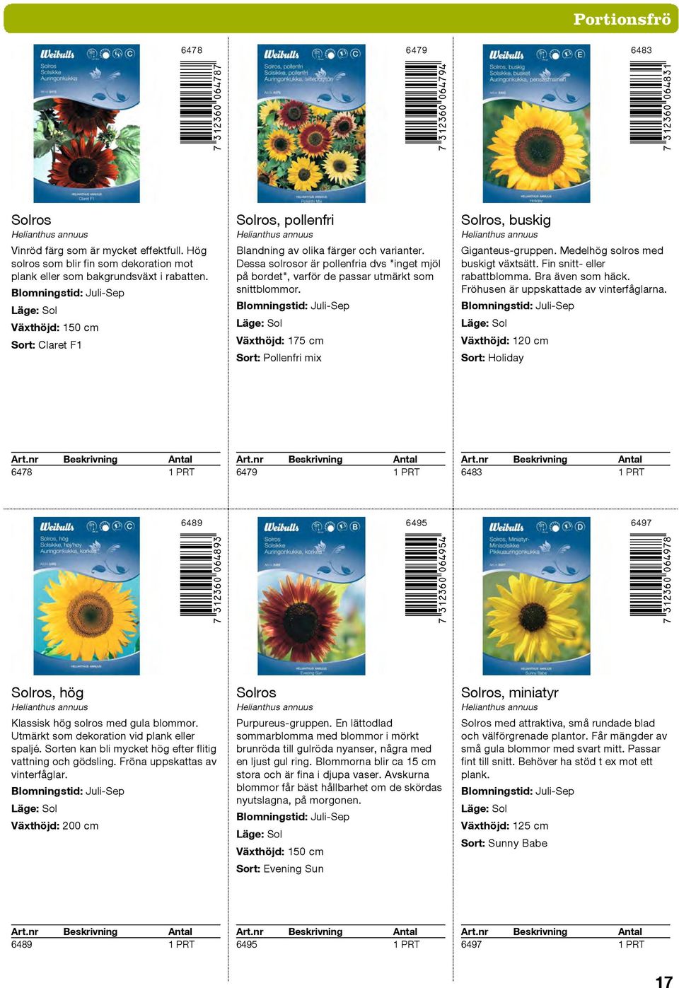 Dessa solrosor är pollenfria dvs "inget mjöl på bordet", varför de passar utmärkt som snittblommor. Växthöjd: 175 cm Sort: Pollenfri mix Solros, buskig Helianthus annuus Giganteus gruppen.