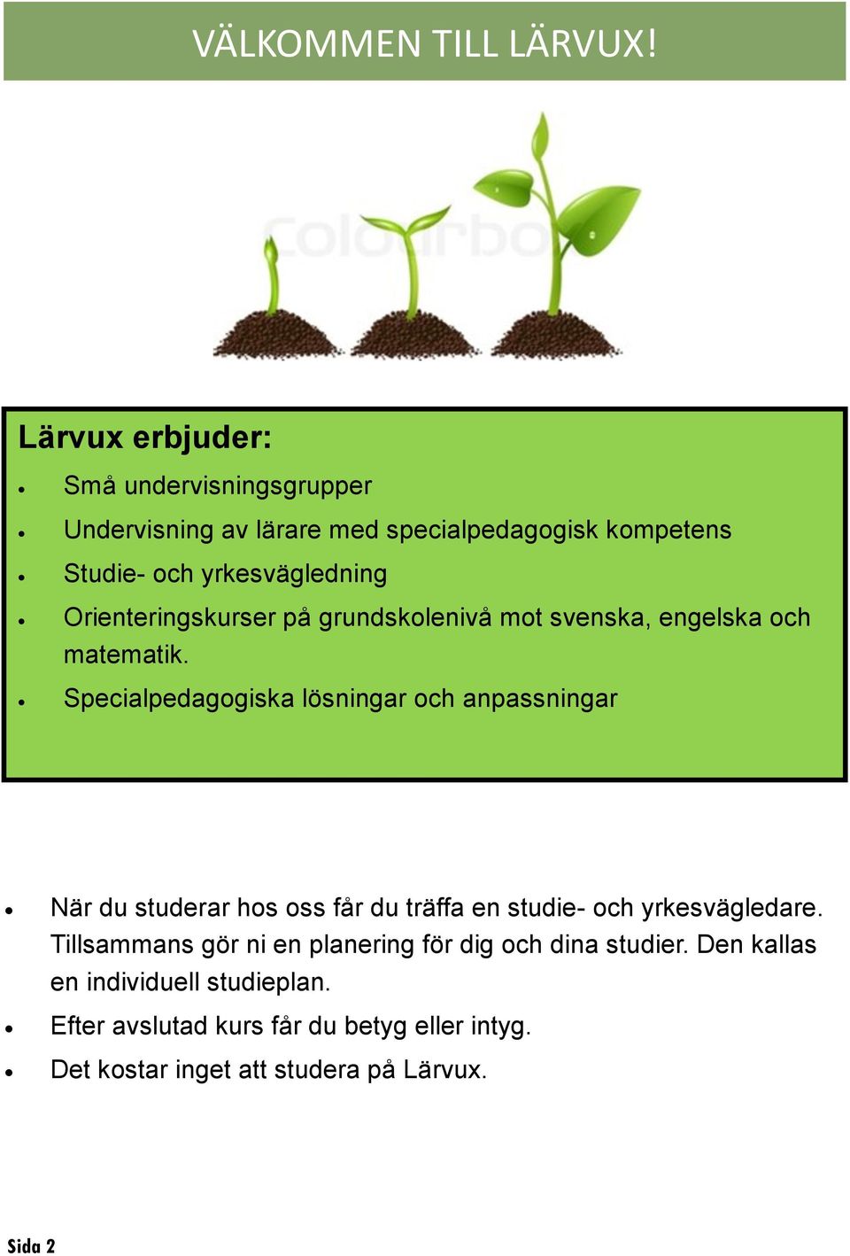 Orienteringskurser på grundskolenivå mot svenska, engelska och matematik.
