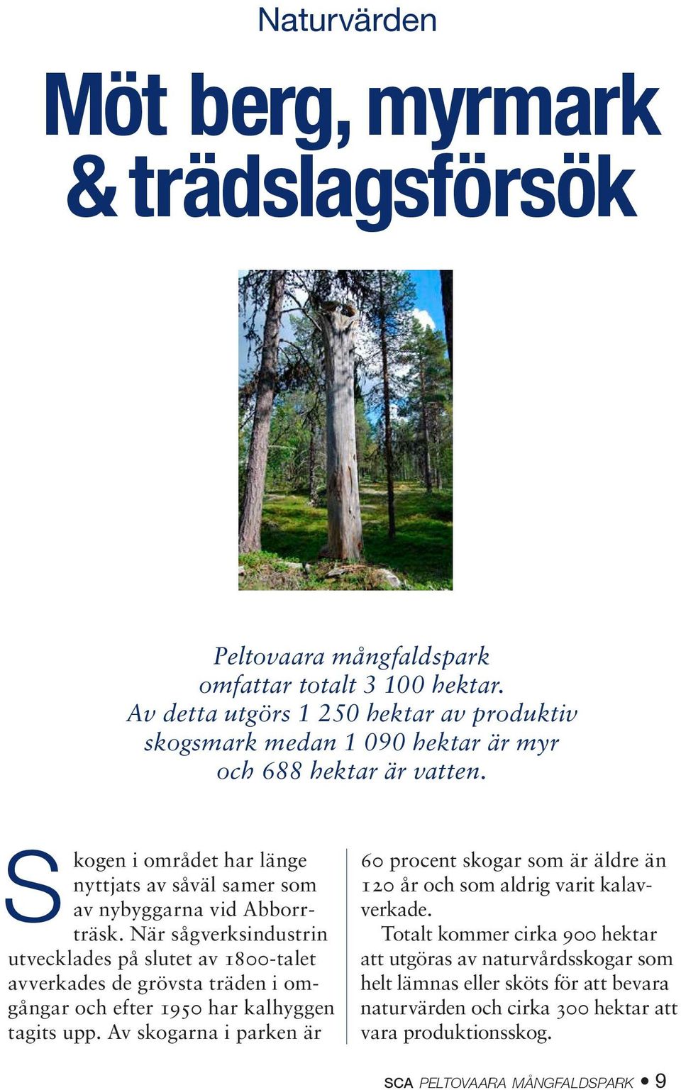 Skogen i området har länge nyttjats av såväl samer som av nybyggarna vid Abborrträsk.