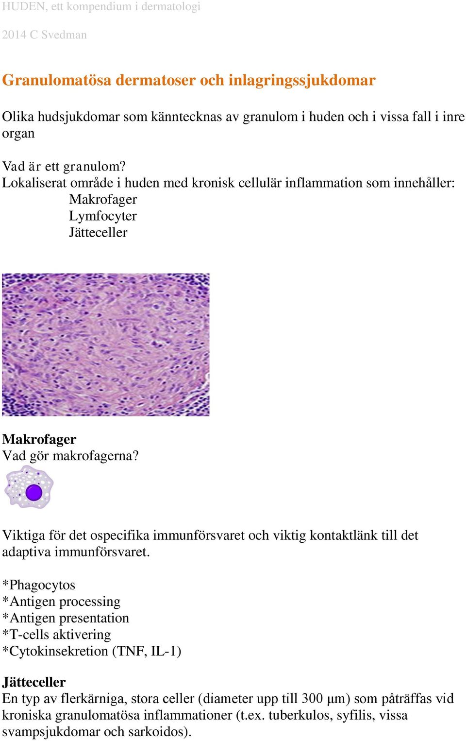 Viktiga för det ospecifika immunförsvaret och viktig kontaktlänk till det adaptiva immunförsvaret.