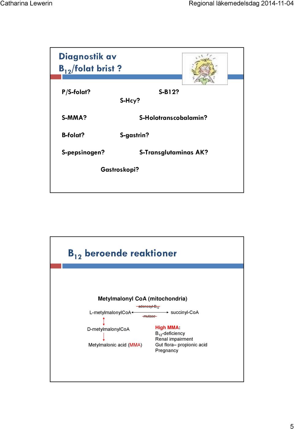 Metylmalonyl CoA (mitochondria) L-metylmalonylCoA adenosyl-b 12 mutase