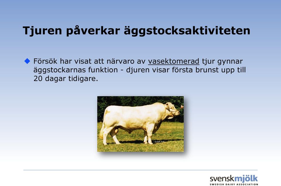 gynnar äggstockarnas funktion - djuren