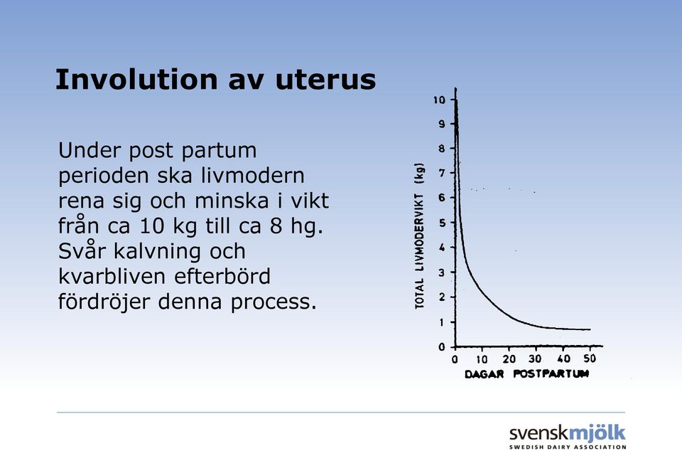 vikt från ca 10 kg till ca 8 hg.