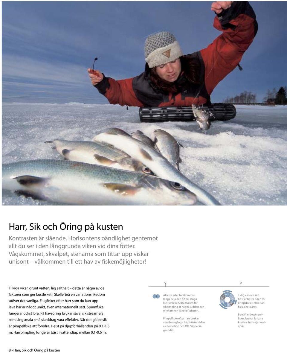 Flikiga vikar, grunt vatten, låg salthalt detta är några av de faktorer som ger kustfisket i Skellefteå en variationsrikedom utöver det vanliga.