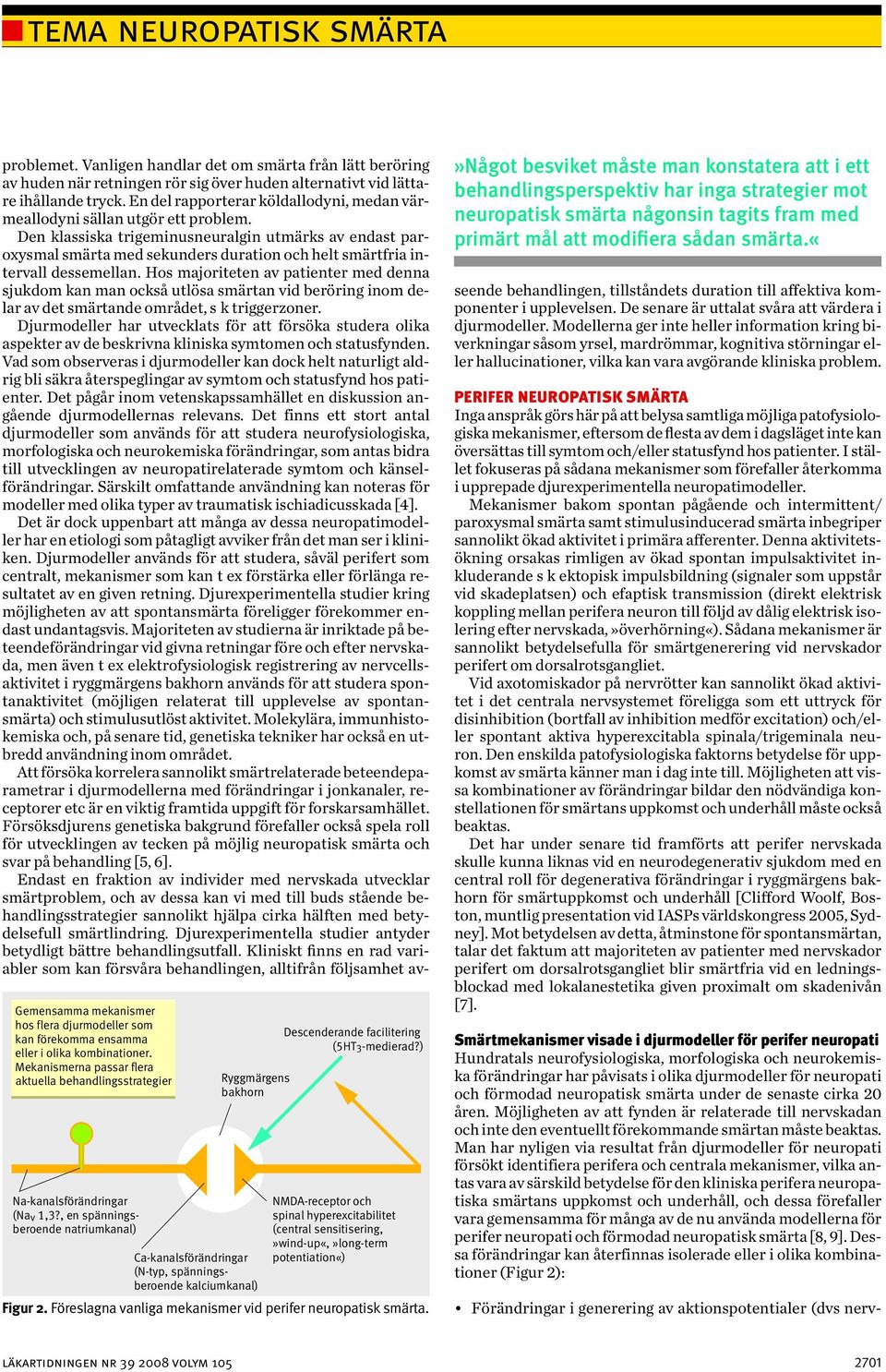 ) NMDA-receptor och spinal hyperexcitabilitet (central sensitisering,»wind-up«,»long-term potentiation«) Figur 2. Föreslagna vanliga mekanismer vid perifer neuropatisk smärta.